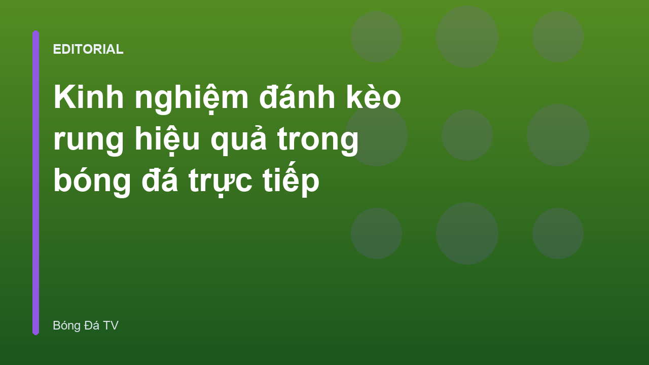 Người hâm mộ theo dõi trận đấu để soi kèo rung